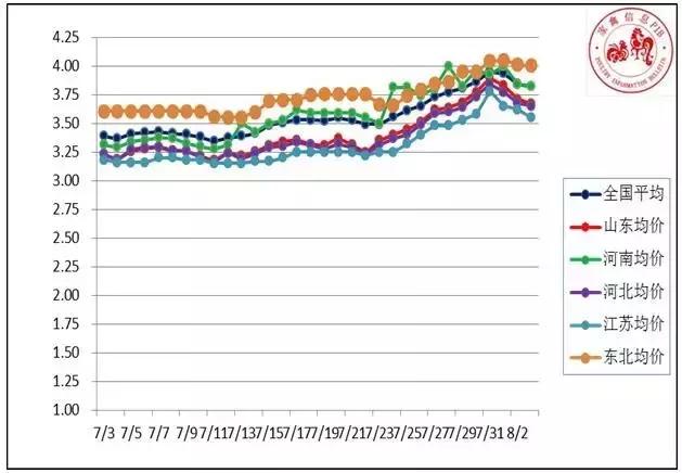 肉毛鸡最新走势分析,毛鸡市场分析