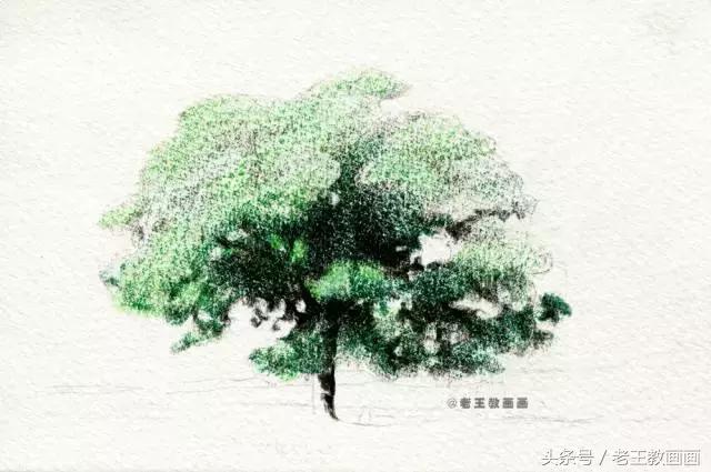 零基础学用彩铅画风景,彩铅画教程入门零基础风景