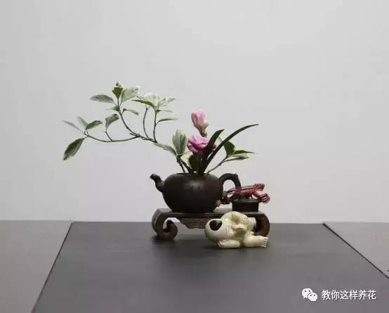 娈嬫灊璐ュ彾鎻掕姳,娈嬫灊璐ヨ姳