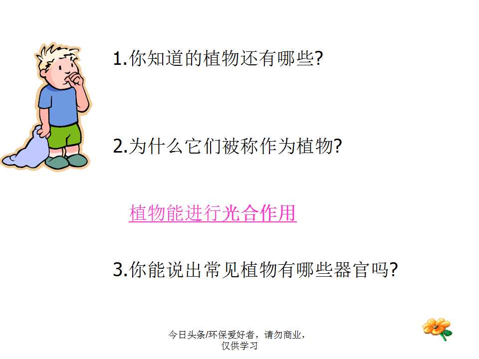 认识植物从身边开始,认识植物的根茎叶各个部分