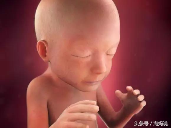 胎儿发育40周全过程注意事项,赞宝宝训练抬头的句子