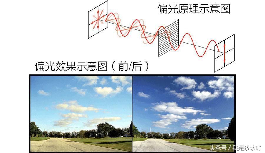 测评性价比高的太阳镜,评测太阳镜前十名