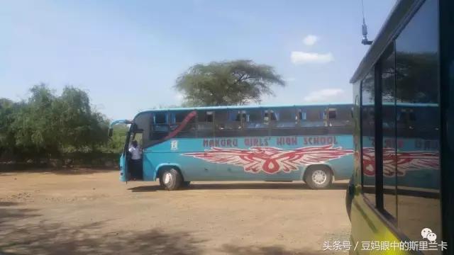 风动？树动？心动！致你，Kenya