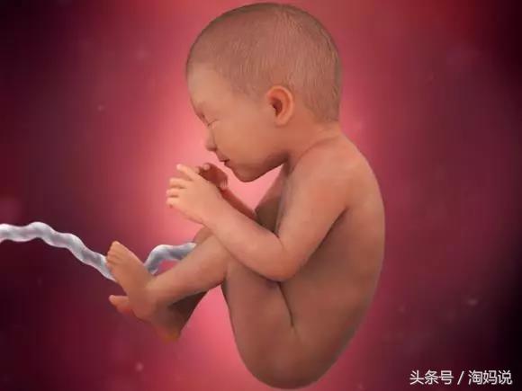 胎儿发育40周全过程注意事项,赞宝宝训练抬头的句子