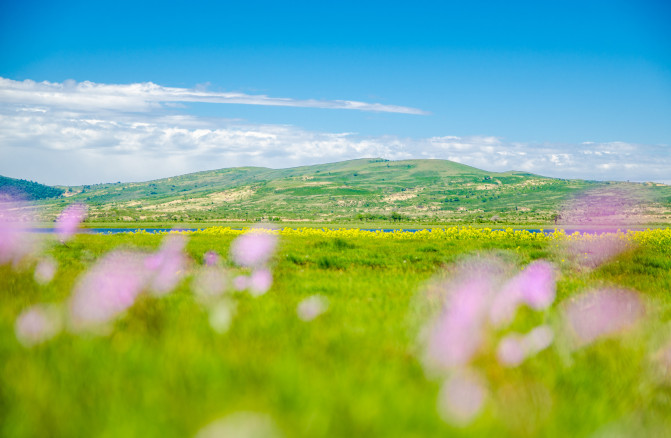 天堂草原锡林郭勒歌词及对白,真正的内蒙古锡林郭勒大草原