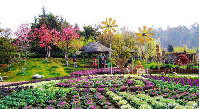 云贵川自驾游线路攻略,云贵川自驾游详细路线