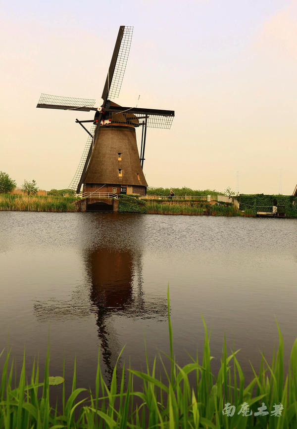 荷兰现在能不能去,什么时候不能去荷兰