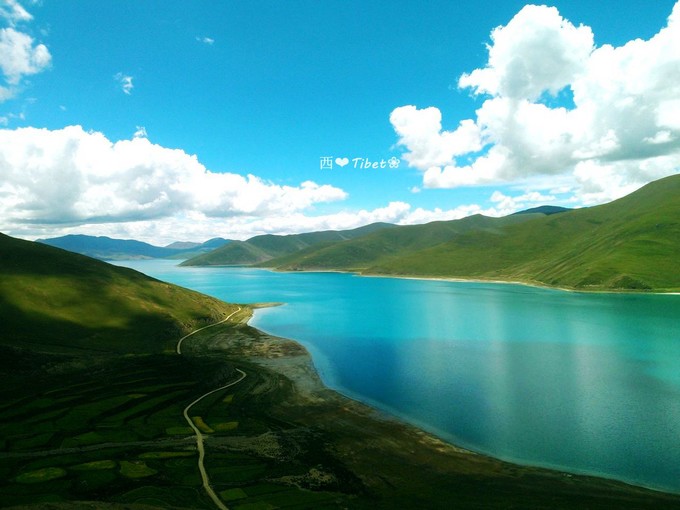 奥古斯都,August的格桑花秘境：我养你！带你去*藏西**啊！