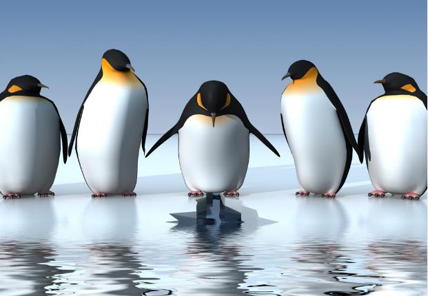 自媒体企鹅号怎么提高日发视频数,企鹅号文章怎么提高推荐量