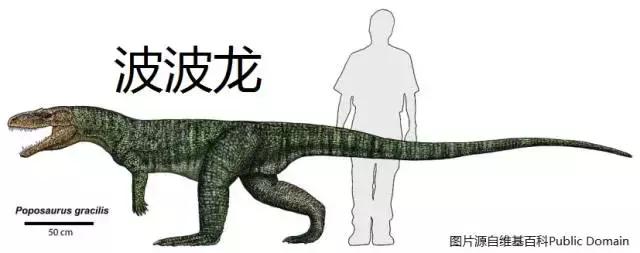 恐龙时期的恐鳄,恐龙时期的扬子鳄