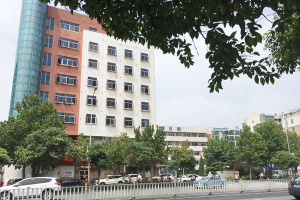 东城投资项目需要多少钱,东城投资