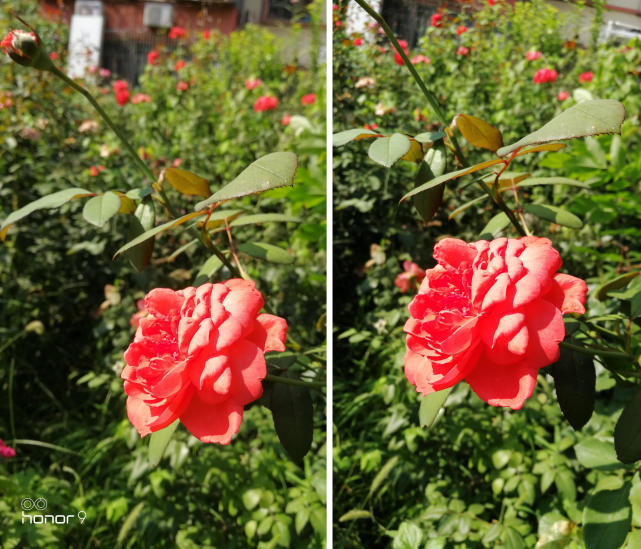 荣耀9与荣耀v9的比较,荣耀9和荣耀v9比拼