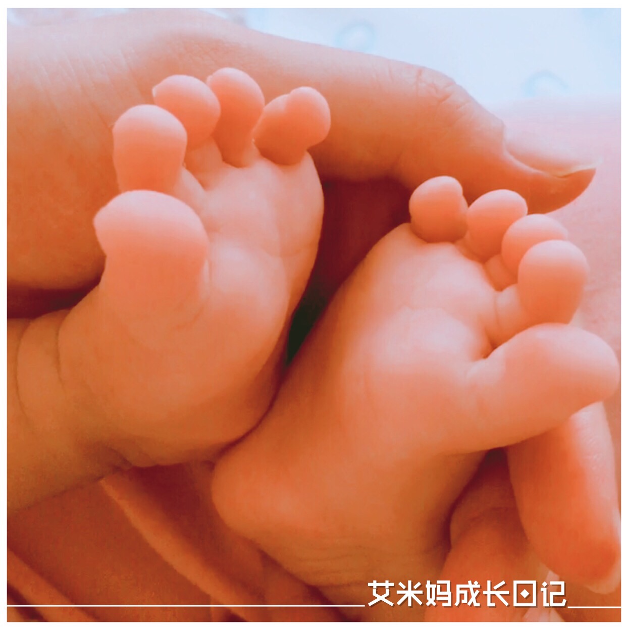 早产妈妈母乳喂养,早产的妈妈怎么安慰