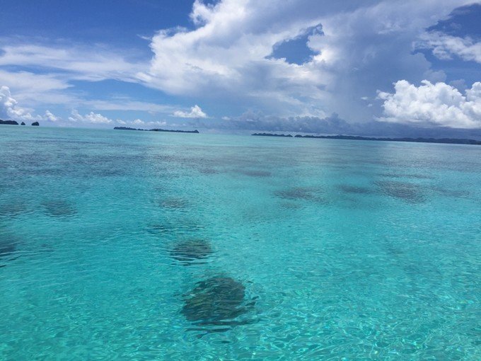 一起去帕劳旅游,去帕劳旅游自由行攻略
