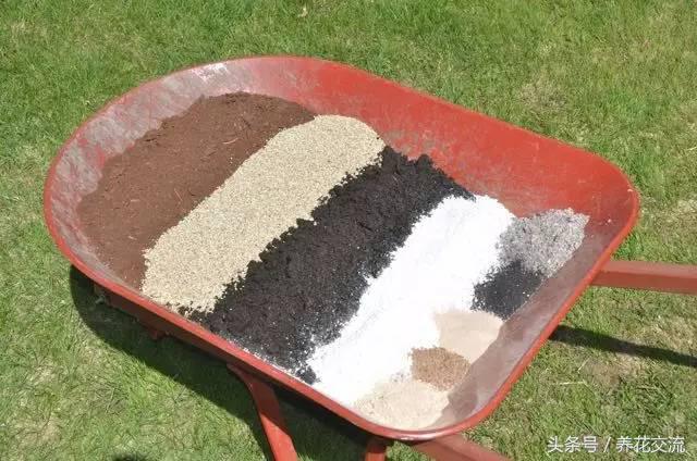 花土通用营养土怎么使用,花盆中的营养土是如何配制的