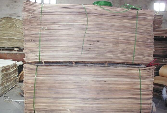 桉木单板和杨木单板区别,杨木品种和木质介绍