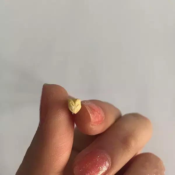 这些搞怪零食你吃过几样,这些奇奇怪怪的零食你吃过吗