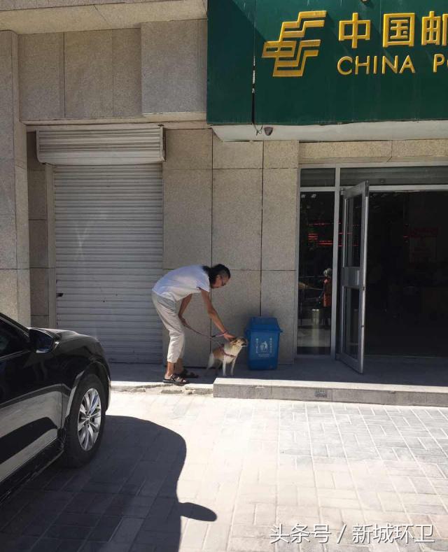 环境卫生最新整治,环境卫生整治限期整改通知书