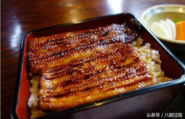 从鳗鱼的智慧说再到成为日本人餐桌上的料理食材！