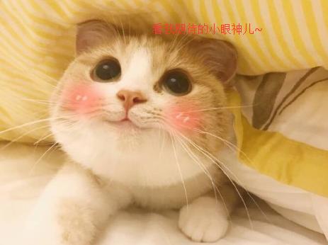 我们来了第二季结尾,我们来了第二季结局催泪视频