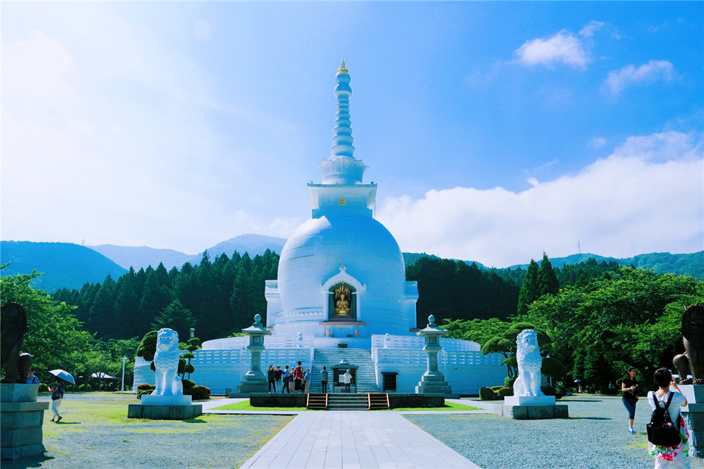 丽星邮轮8天7晚自由行攻略,丽星邮轮双子星号日本攻略