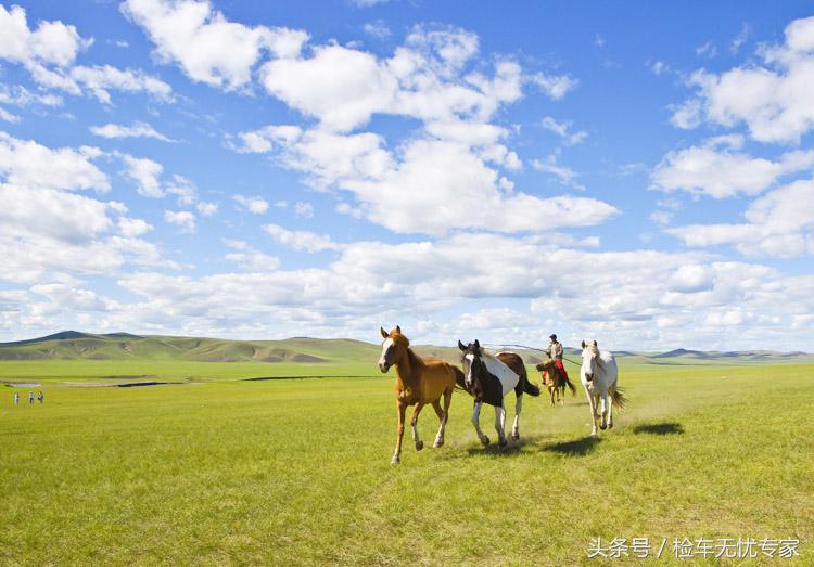最新二手甲壳虫,甲壳虫二手车测评