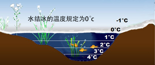 郑医生科普小知识,郑医生讲弱视