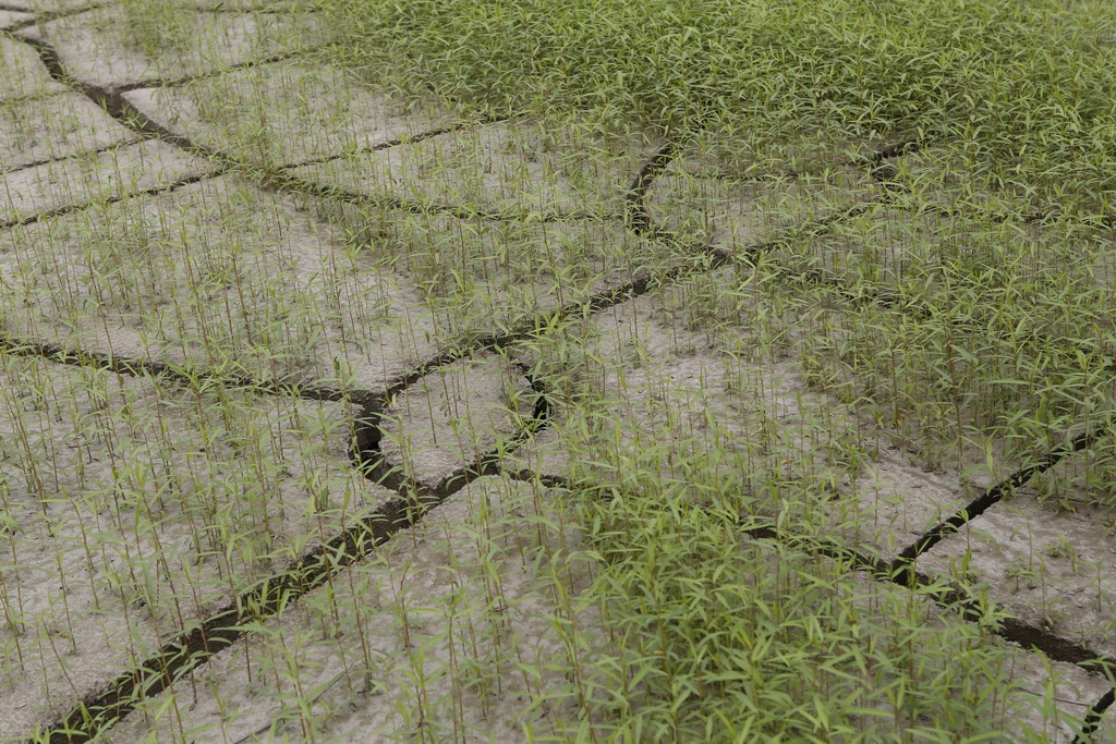 大武汉系列之武汉冶炼厂,大武汉系列之武汉印染厂