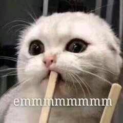 你听过英雄联盟吗,英雄联盟装甲熊