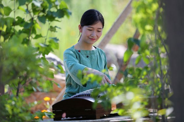 伊滨区万安山山顶公园,洛阳万安山山顶公园照片