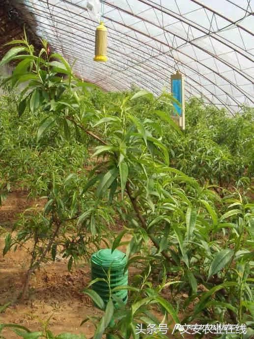 完整的土壤知识快收藏吧,土壤肥料基础知识