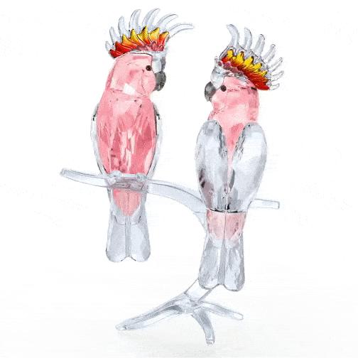 施华洛世奇怎么防止不掉色,施华洛世奇怎么辨真假