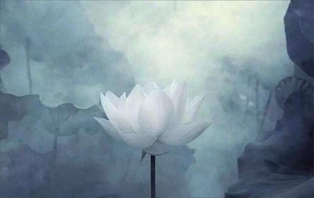 做修行之人,一个真正的修行人该怎么修