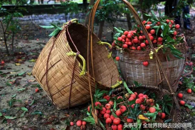 广州附近竟然有个“爱琴海”,美爆了!现在我还需要出国吗?