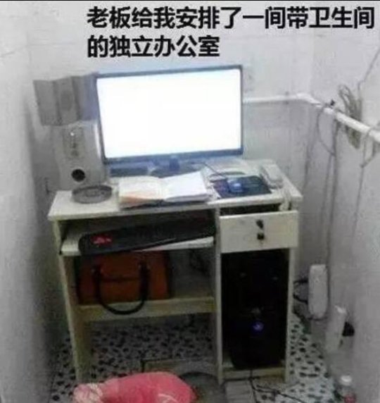 大J神:大一新生和大二学姐开学后不可描述的聊天记录