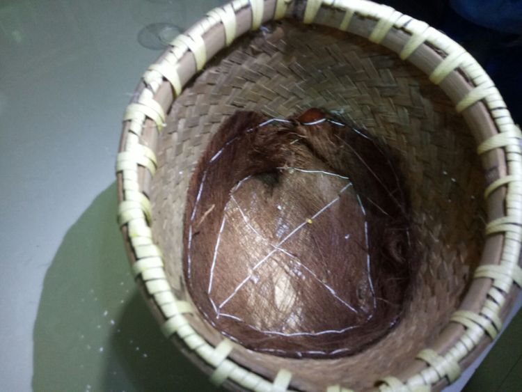 独霸牛头山，只为自己的甜蜜事业/临海味道