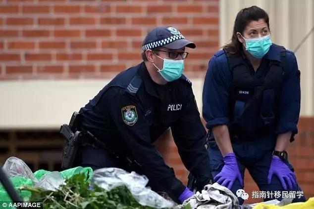 土澳也要推行身份证了？网友：类似的东西我在国内也有一张