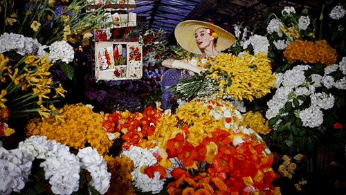 盒子里：仙境般的秘密花园，呼吸间都是浪漫的气息！