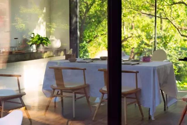 “麻麻,那是什么花?”“麻麻花呀!”