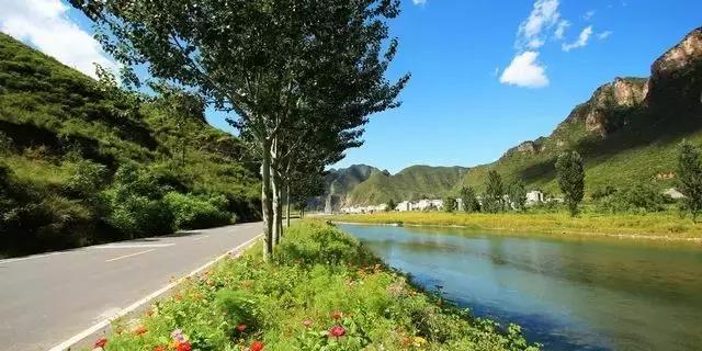 “麻麻,那是什么花?”“麻麻花呀!”