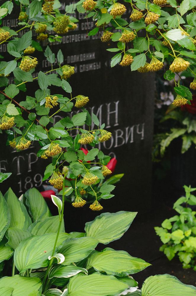 感受战斗民族日常,感受战斗民族的热情