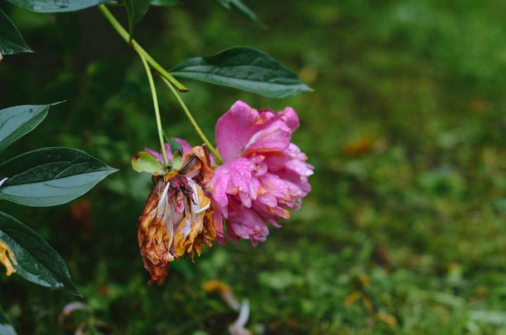 感受战斗民族日常,感受战斗民族的热情