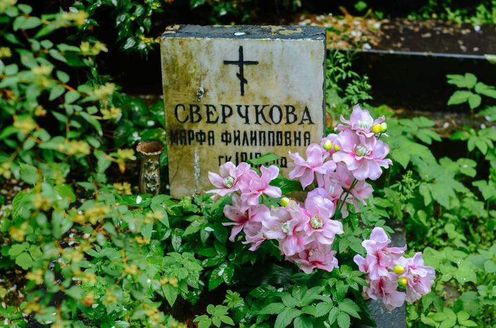 感受战斗民族日常,感受战斗民族的热情