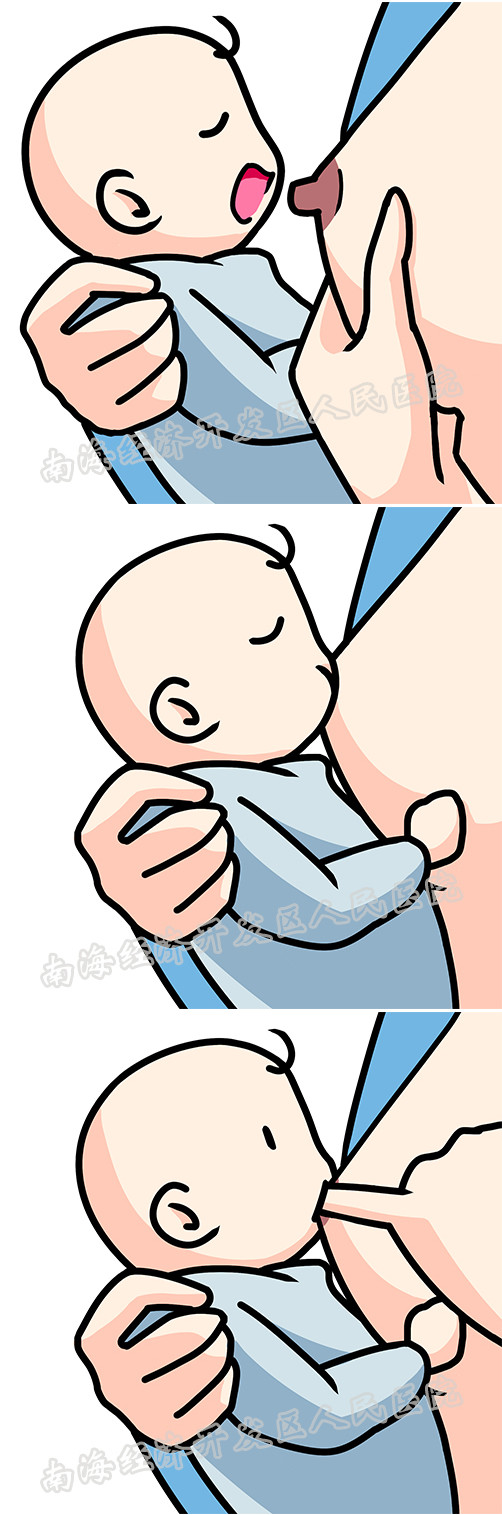 新手妈妈母乳营养知识,母乳喂养健康教育讲稿