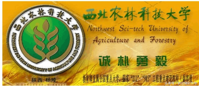 全国顶尖十所大学的校训,985大学排名表及校训