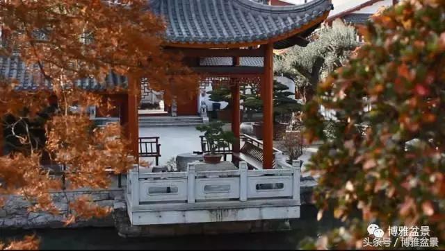 清逸园，一座闹中取静的“文人园林”