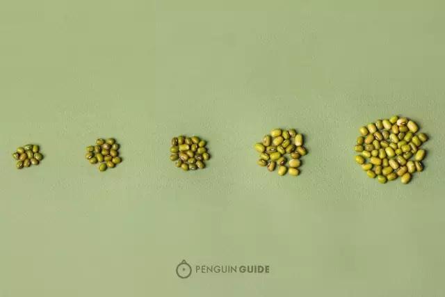 FoodLabvol.2｜绿豆汤和它的两个兄弟