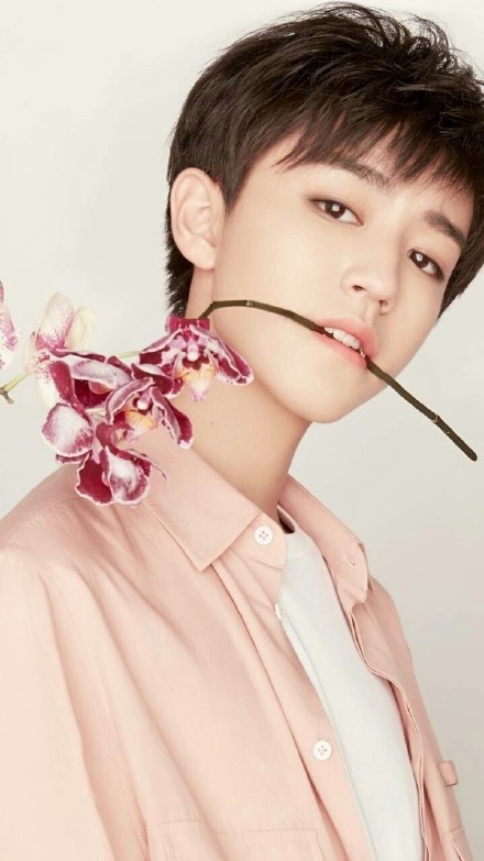 少年感刘昊然吴磊许光汉,刘昊然王俊凯吴磊范丞丞