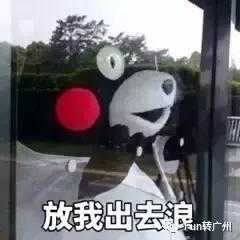 不知道带小孩去哪里玩,广州哪些公园适合带孩子去玩