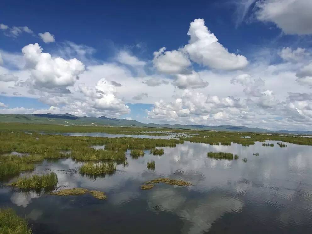 若尔盖湿地三月的景色,8月若尔盖草原哪里比较好